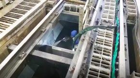 Moegas