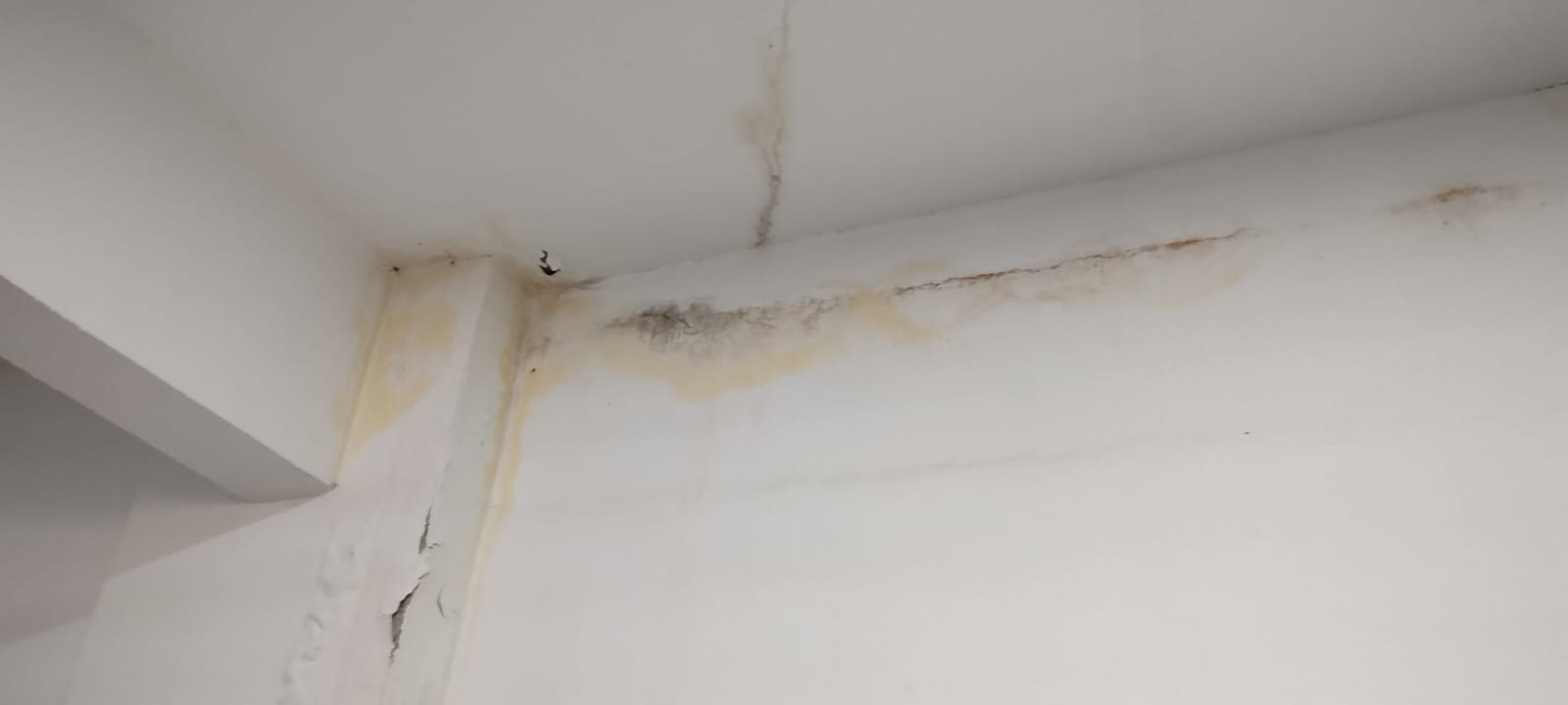 Obra pronta não é obra resolvida: o que compromete as estruturas